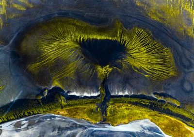 Ganadora: El verde árbol de Ignacio Medém